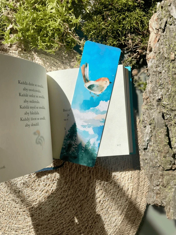 SET záložek do knih PTÁČCI