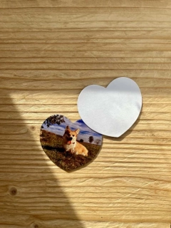 Magnetka ve tvaru SRDCE